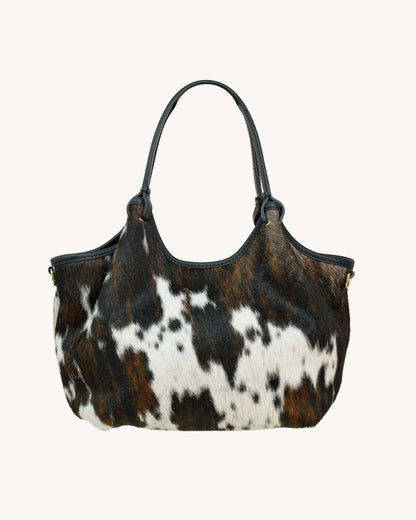 Daniela - Cavallino