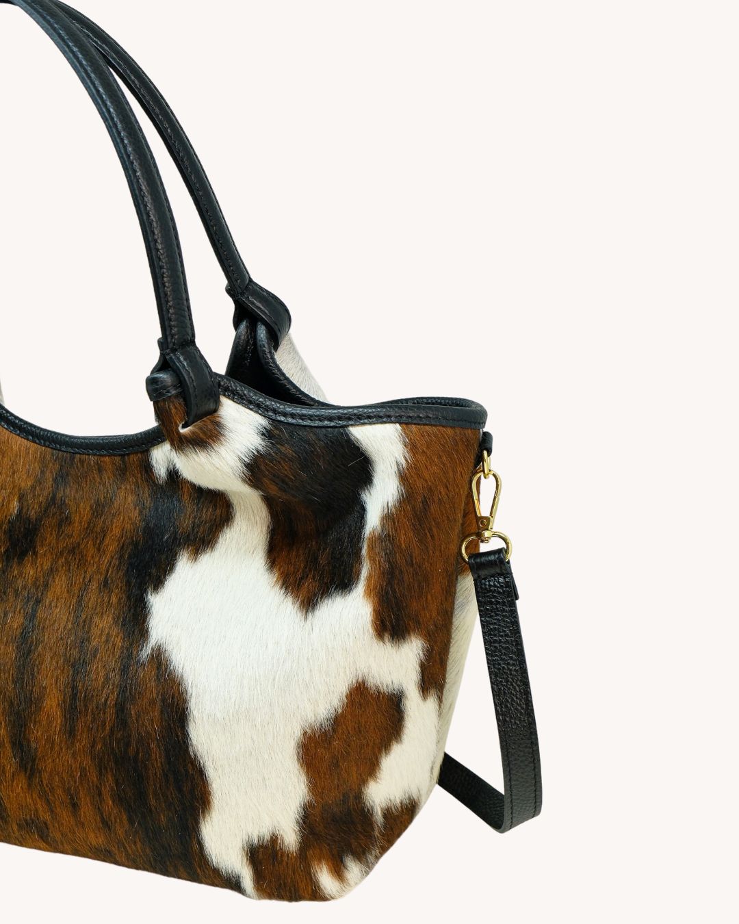 Daniela BIG - Cavallino
