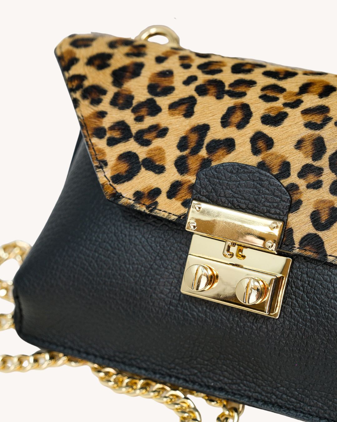 Pochette - Cavallino